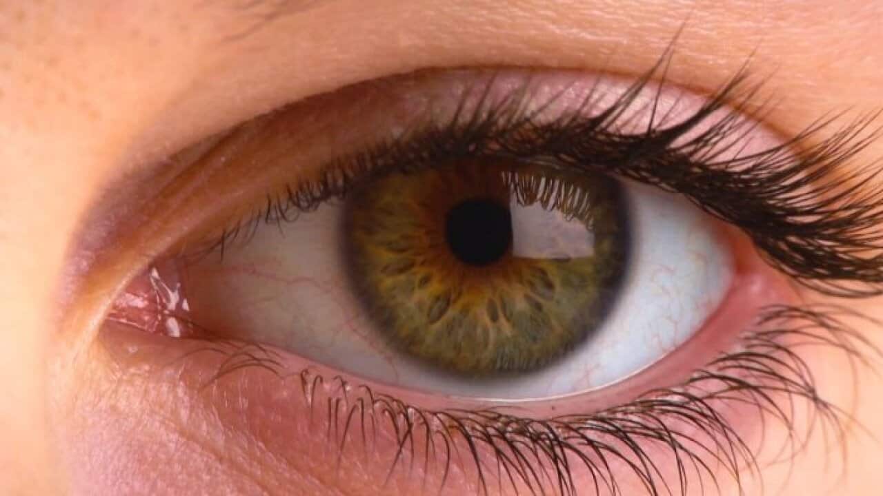 eye