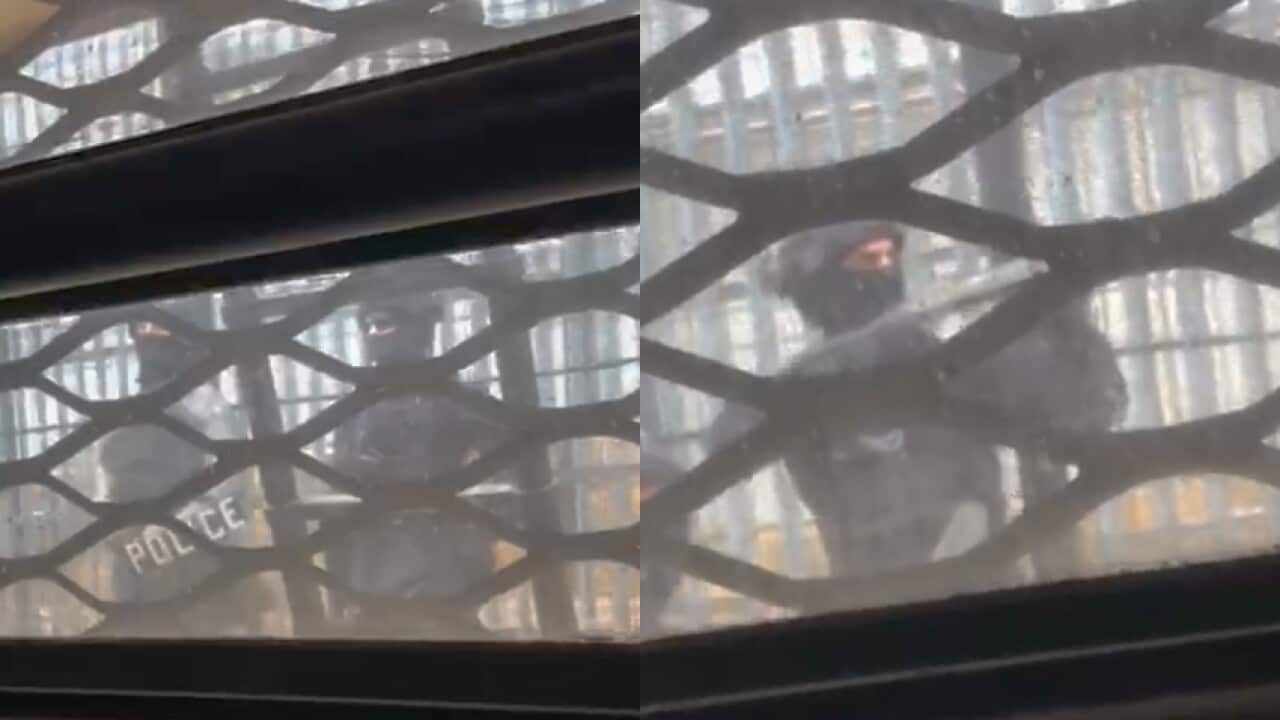 Image for read more article 'READ MORE'