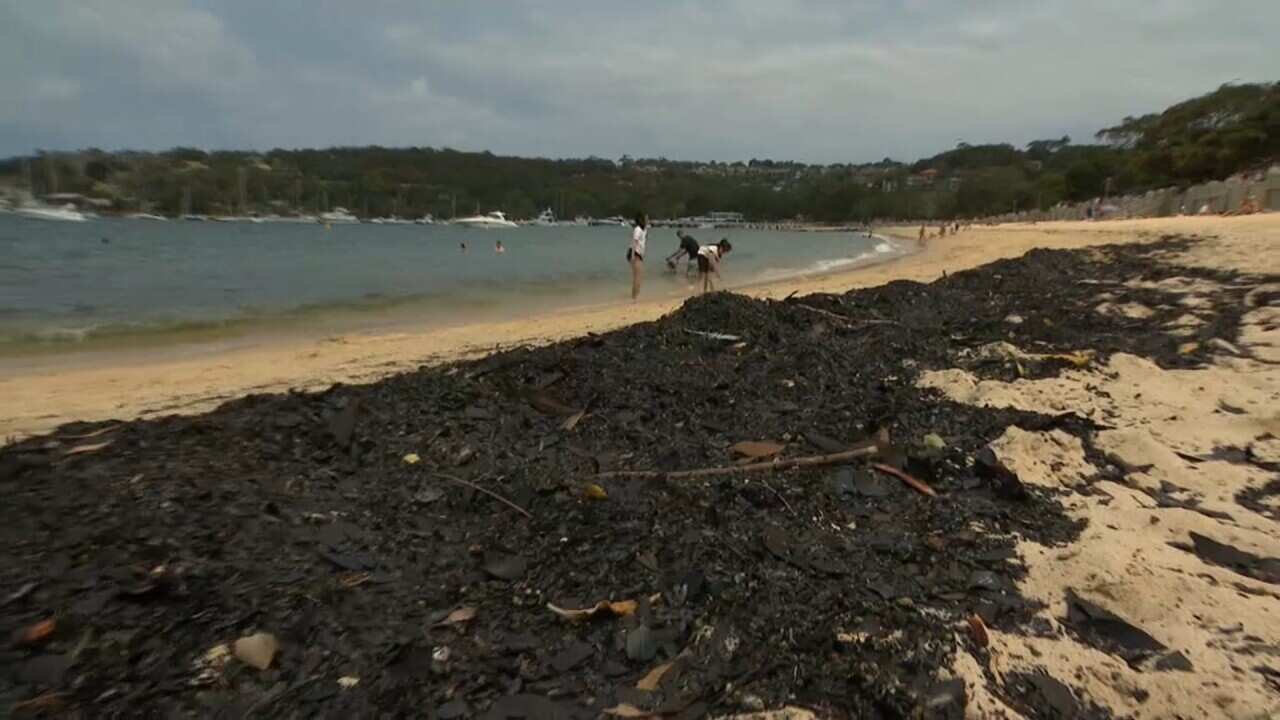 Ash washed up on Sydney's Balmoral beach. 