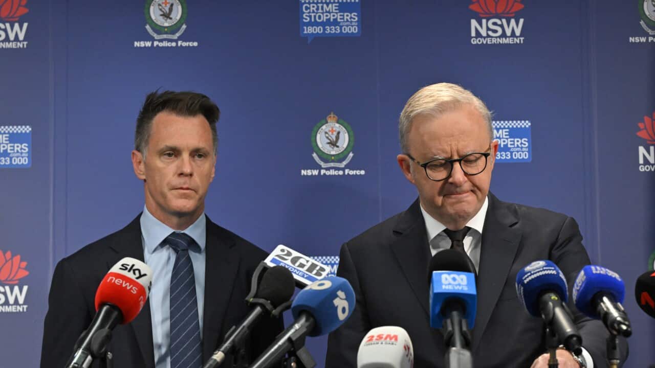 ANTHONY ALBANESE BONDI BEACH SHOOTING