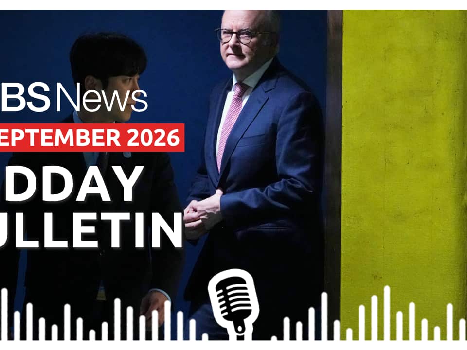 MIDDAY BULLETIN (6).png