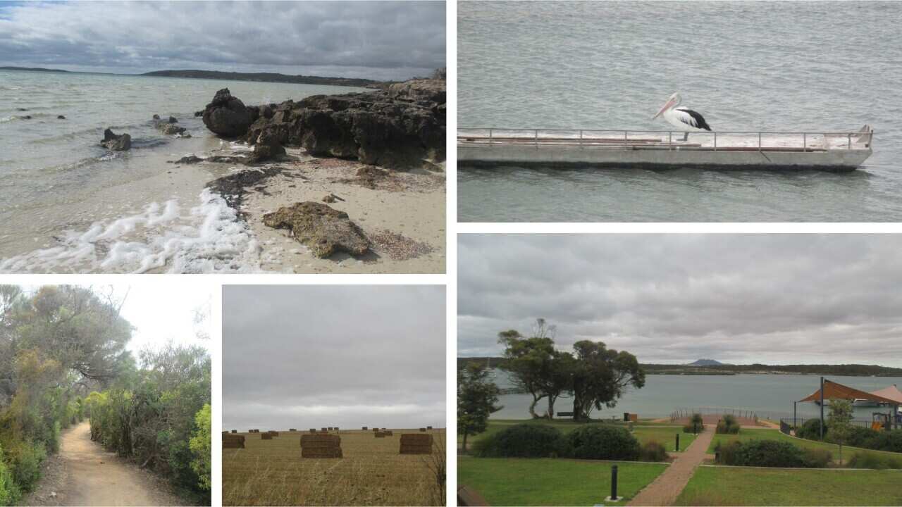 Coffin Bay_ South Australia_ Australian Rural Beauty
