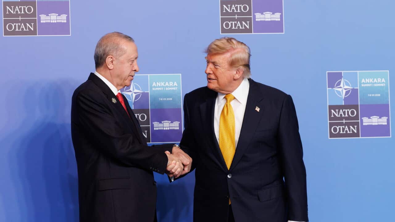 Erdogan and Trump