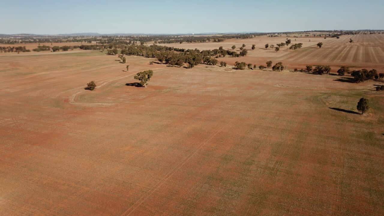 NSW farms in drought