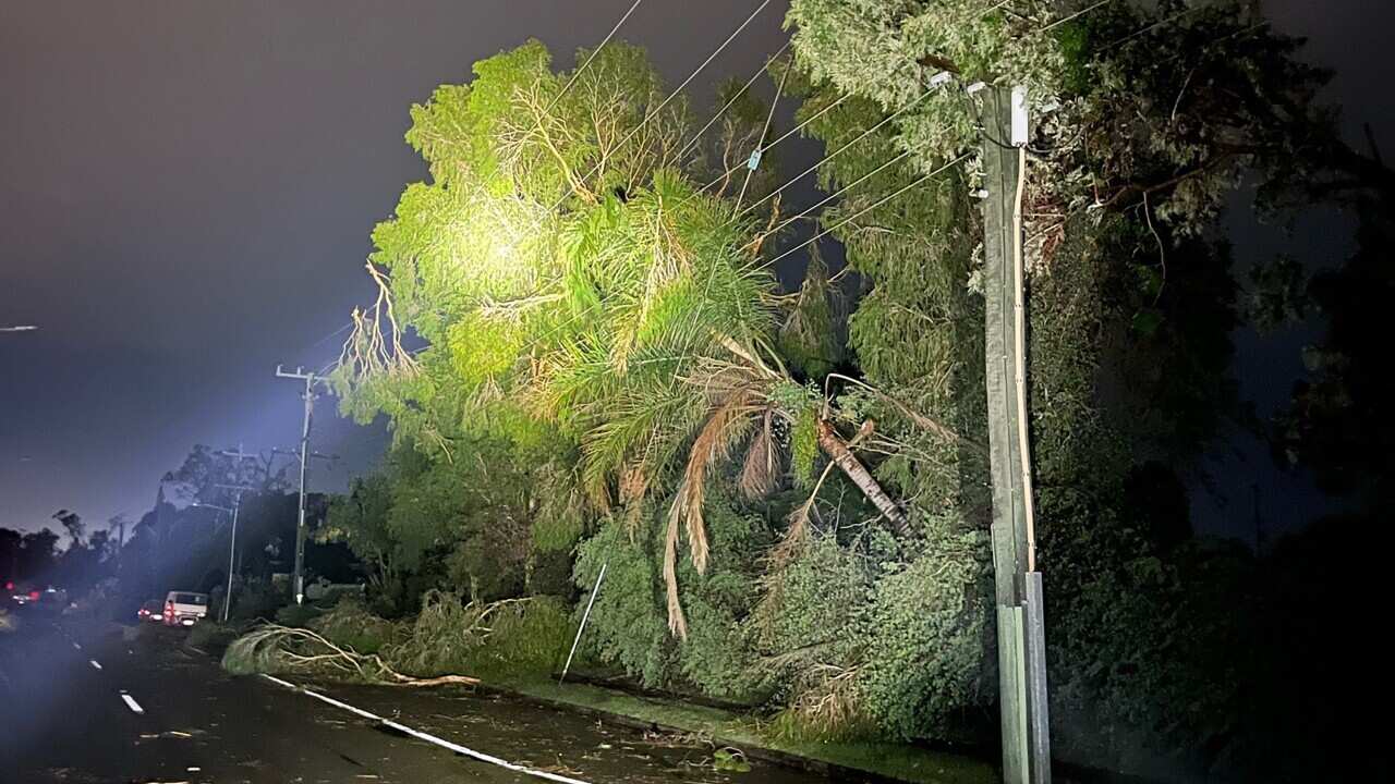 A fallen tree and damage following a storm