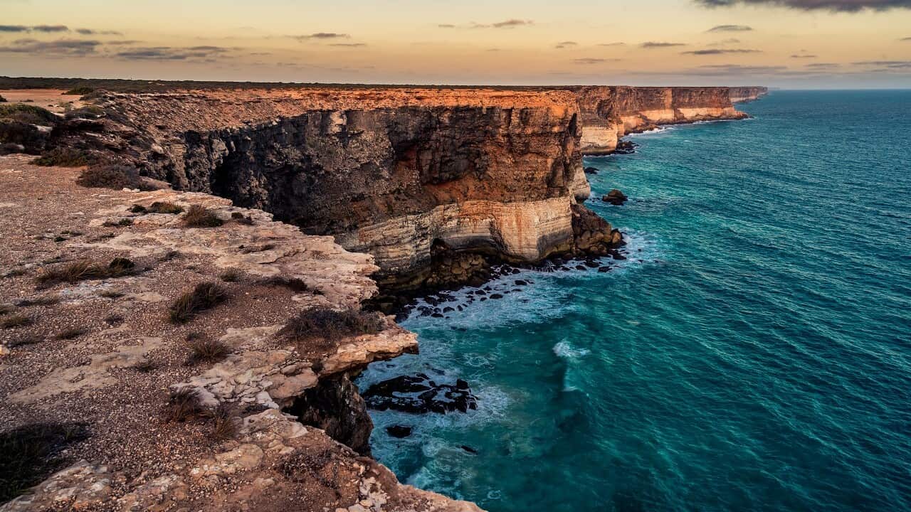 Environmental activists have hailed as 'an incredible win' an announcement that Santos and Murphy Oil will abandon drilling plans in the Great Australian Bight.