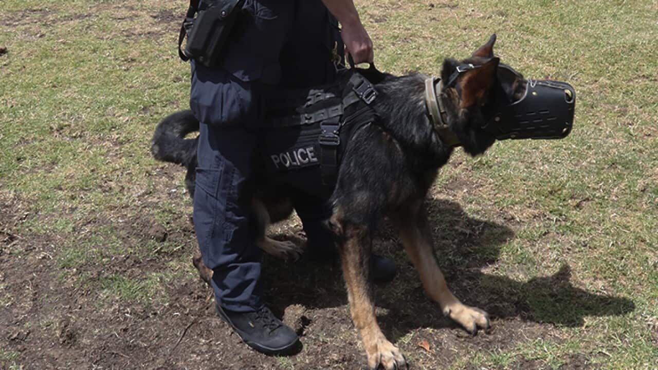 Police will be allowed in SA schools