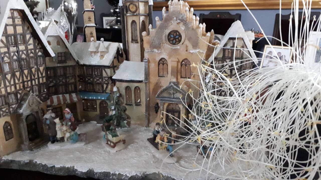 Growing vetch for Christmas