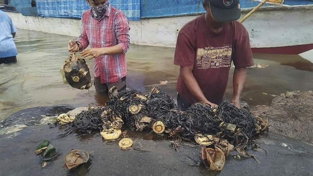 Researchers remove plastic waste