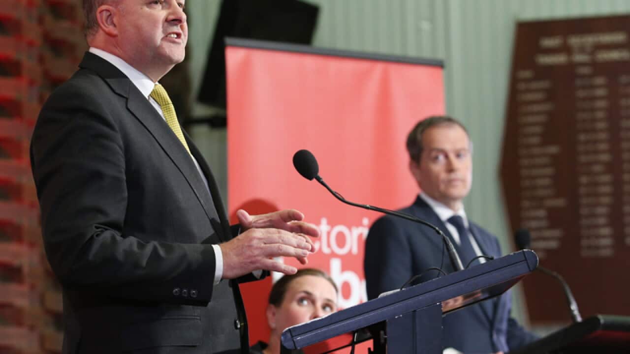 Labor leadership candidates Anthony Albanese (L) and Bill Shorten (R)