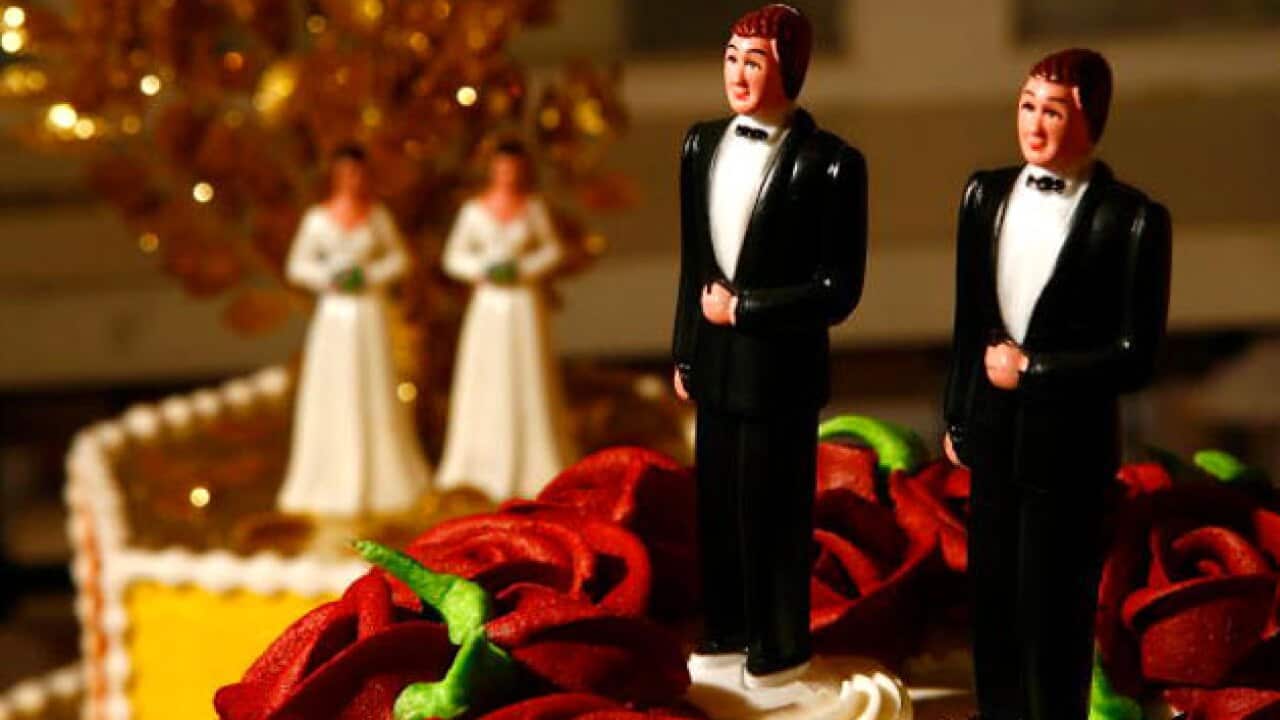 gay marriage