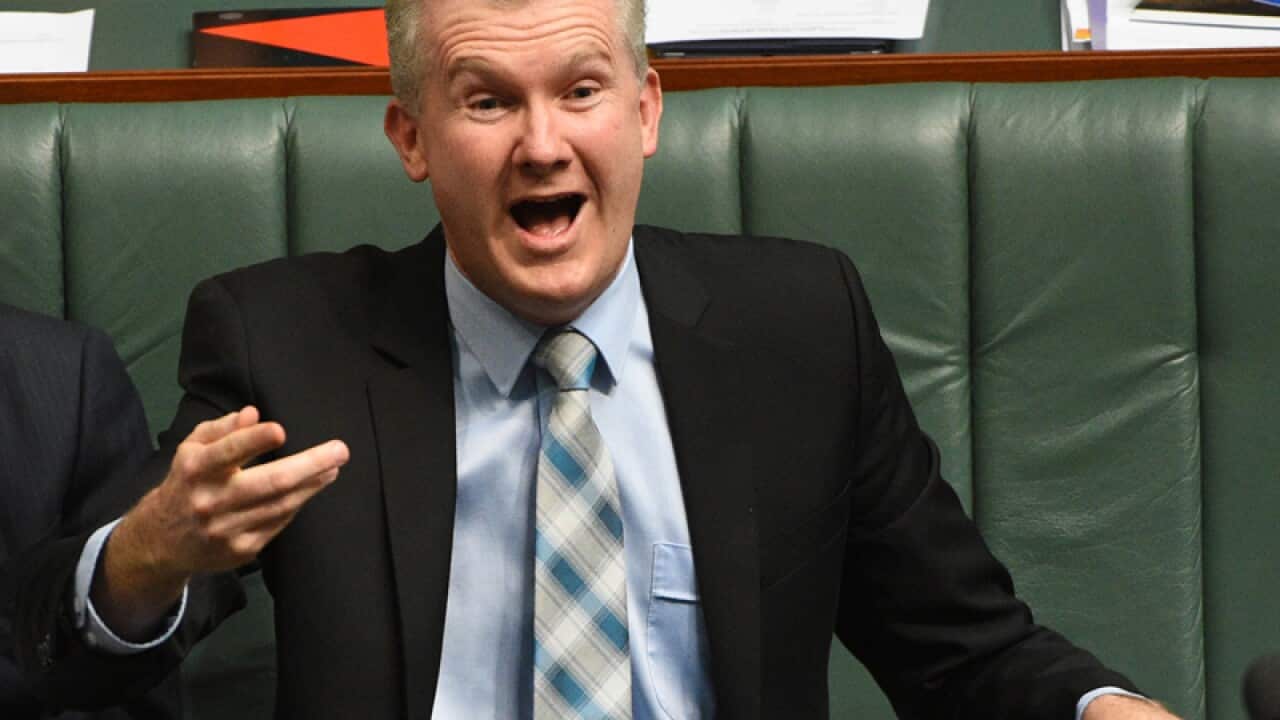 Federal Shadow Minister for Finance Tony Burke