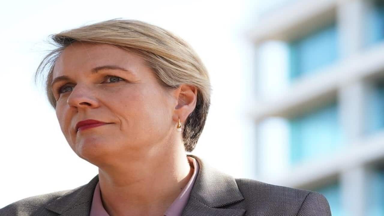 Deputy Leader of the Opposition Tanya Plibersek