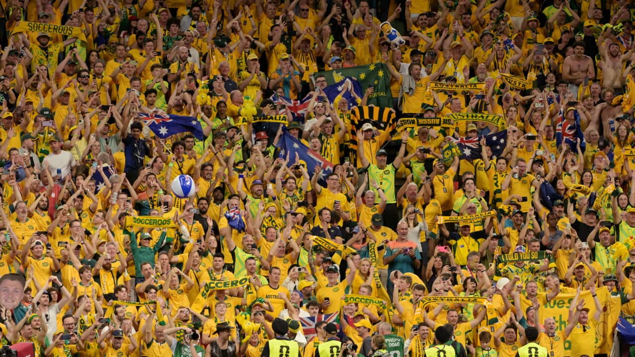 Australian fans at the Australia v Turkey, FIFA World Cup game.