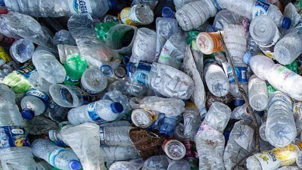 A Skeleton Sea, pelas criações de Xandi e Alexander Kreuzeders, sensibiliza para o lixo no oceano Atlântico