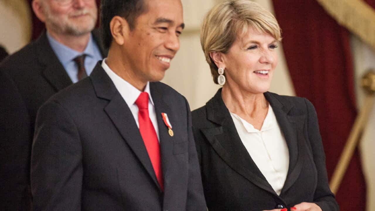 Foreign Minister Julie Bishop and Indonesian President Joko Widodo