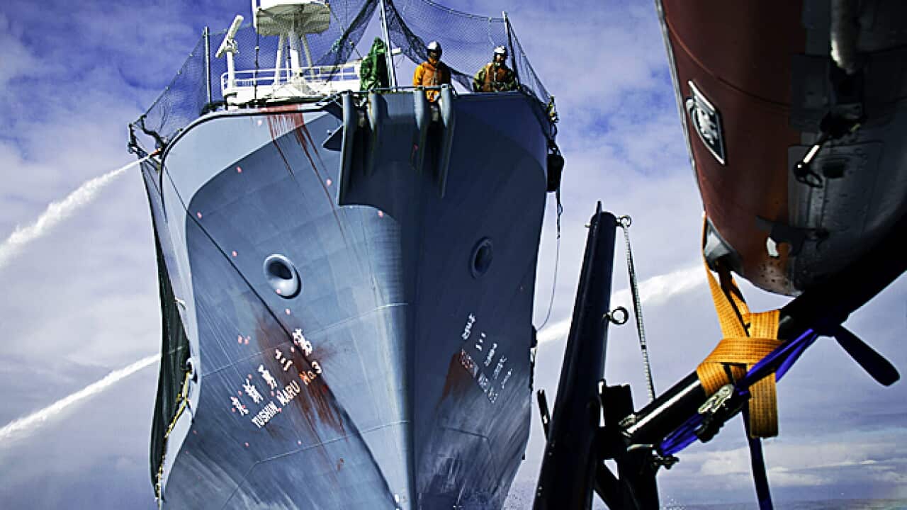 whaling_L2_110218_aap_1163362471