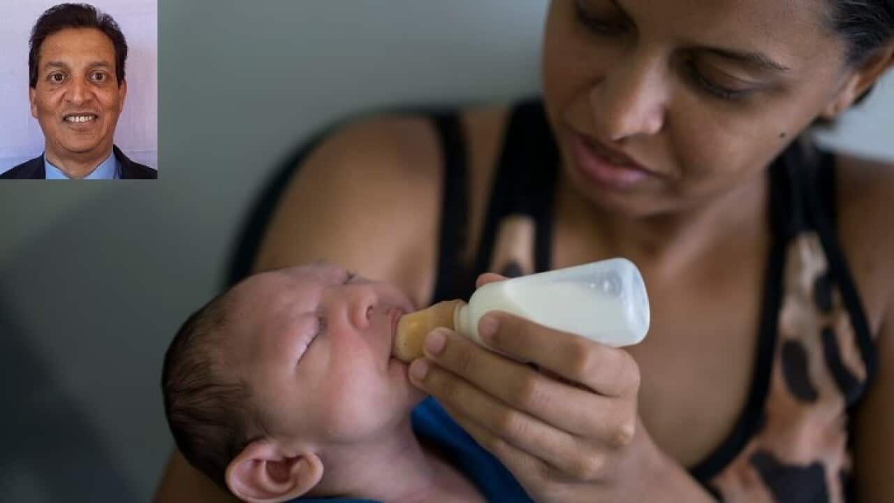 Zika Virus
