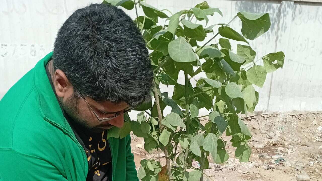 Arab Man Tree The 'Tree Man of Pakistan' who planted more than 100,000 trees | SBS Urdu
