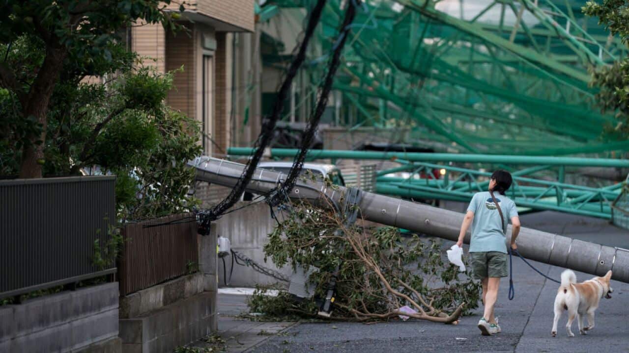 Typhoon Faxai Hits Japan this month.