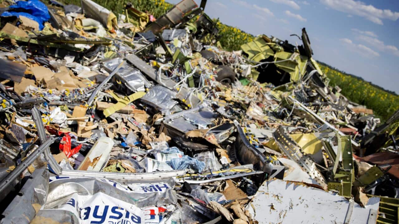 Debris of Malaysia Airlines MH17 at the crash site in eastern Ukraine