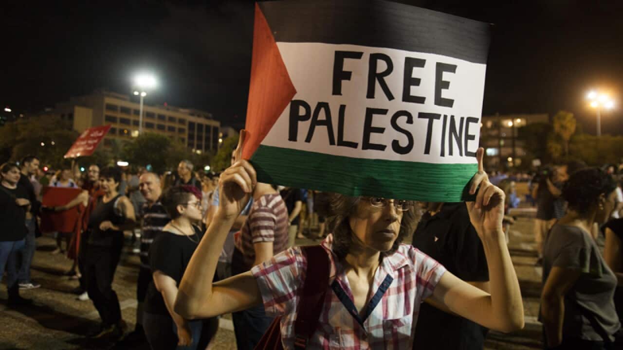 An Israeli left wing activist