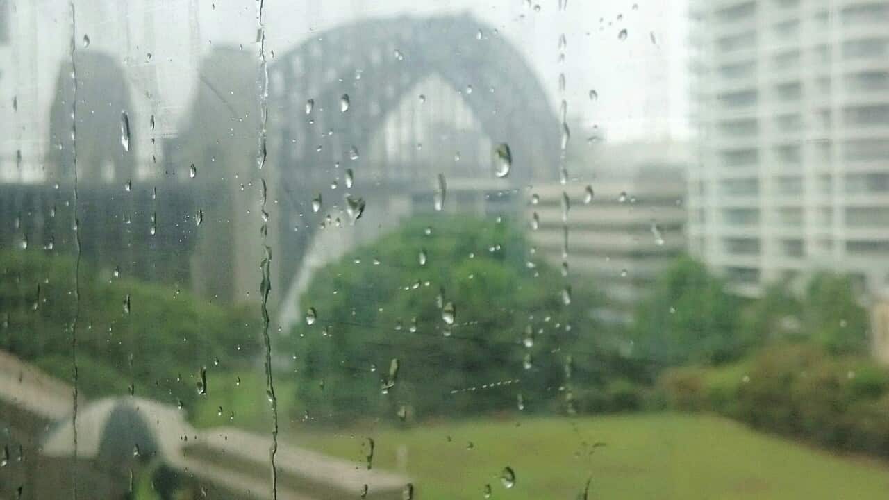 Heavy rain in Sydney (Getty).