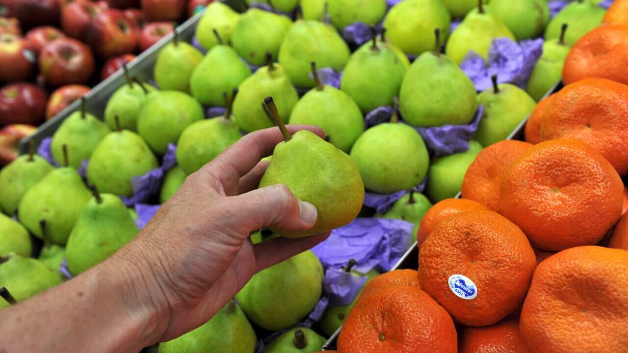 FRESH FOOD STOCK