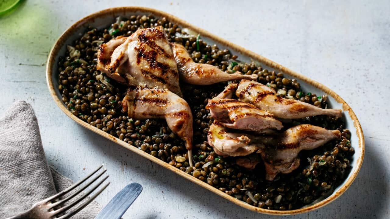 Grilled quail with green lentils