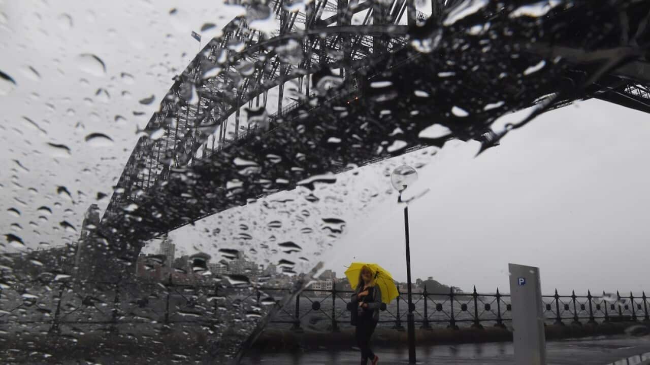 Rain in Sydney.