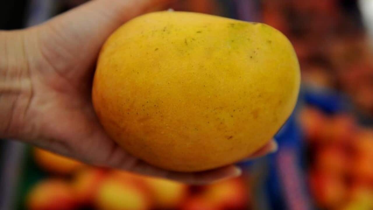 A file image of mangoes for sale