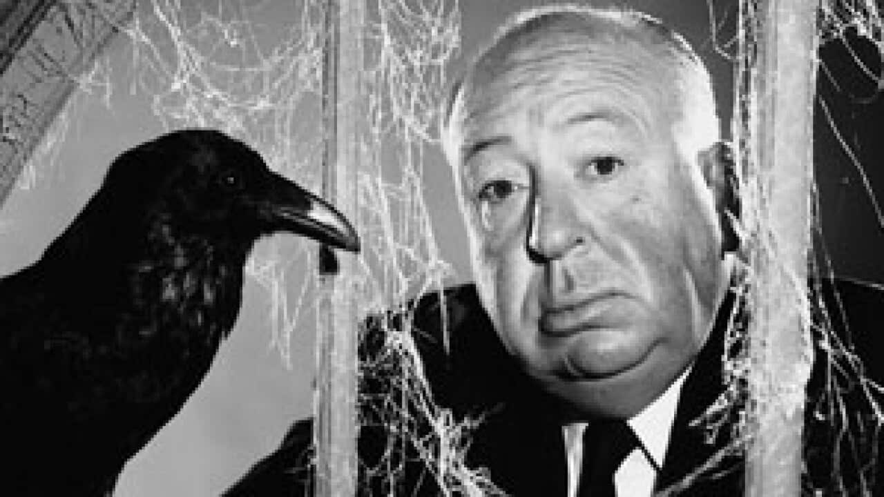 Hitch_Birds_301_257725646