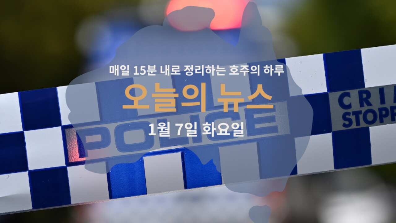 15 news WEB 7.png