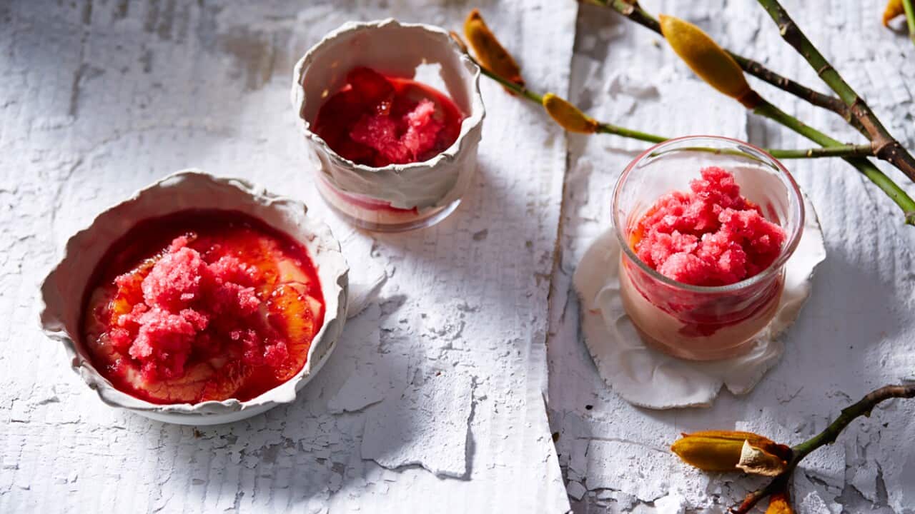 Blood orange granita