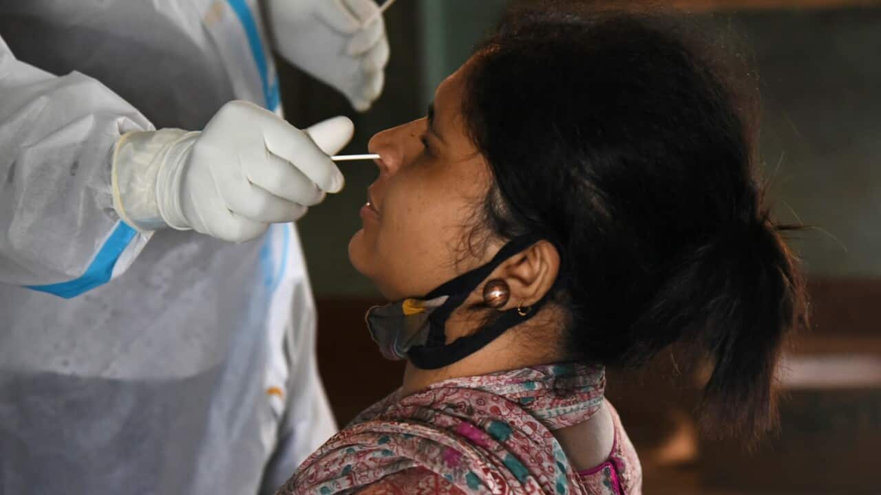 Indian Health workers take swab samples for coronavirus COVID-19 testing