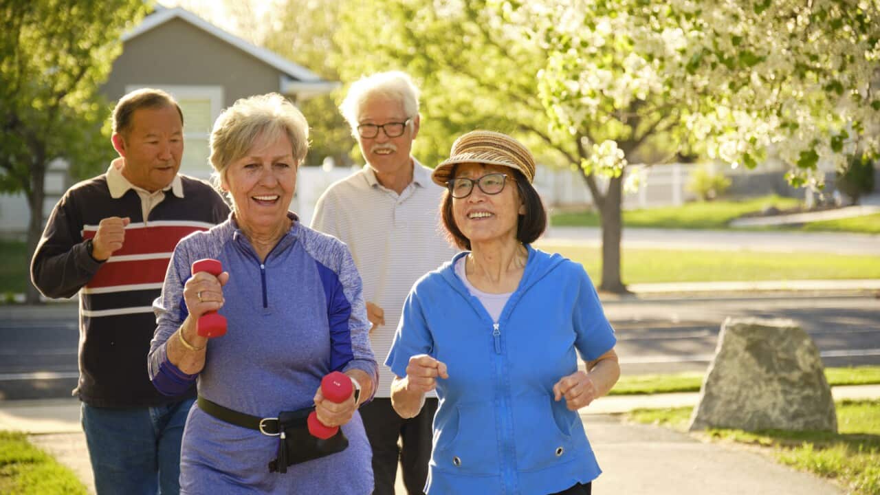Group of Senior Aged People Power Walking in a Park