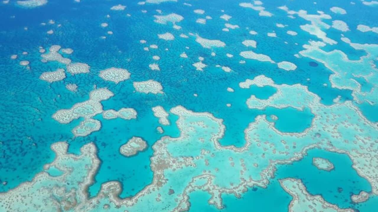 The Great Barrier Reef as viewed from above.