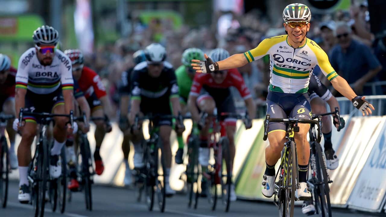 Caleb Ewan, Orica-Scott, Santos Tour Down Under
