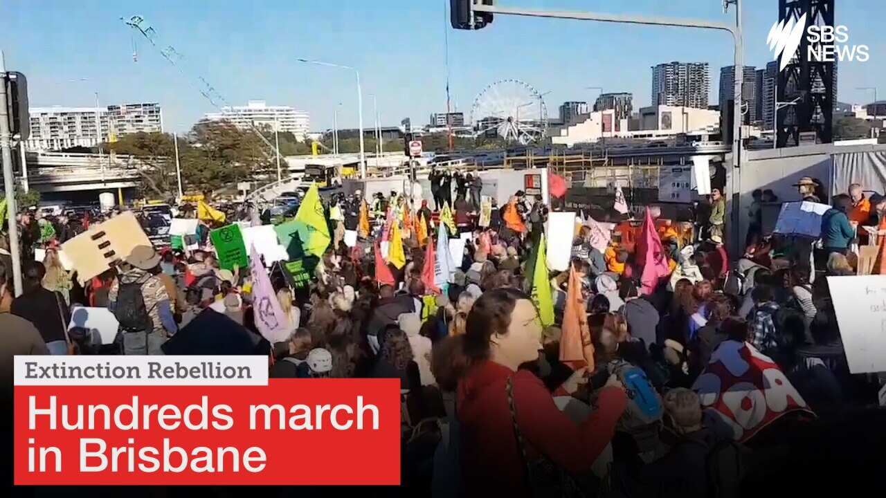 Hundreds march in Brisbane for climate action.