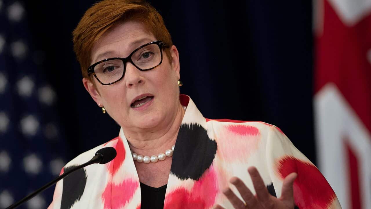 Foreign Minister Marise Payne speaks during a press conference at the US Department of State.