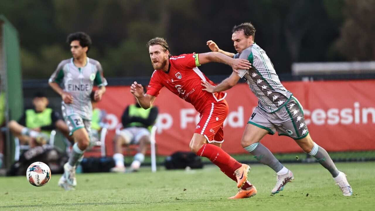 Anadolu Green Gully.jpg