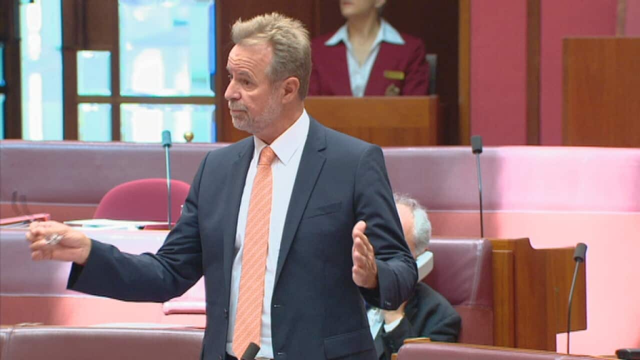 scullion_17379579_0.jpg