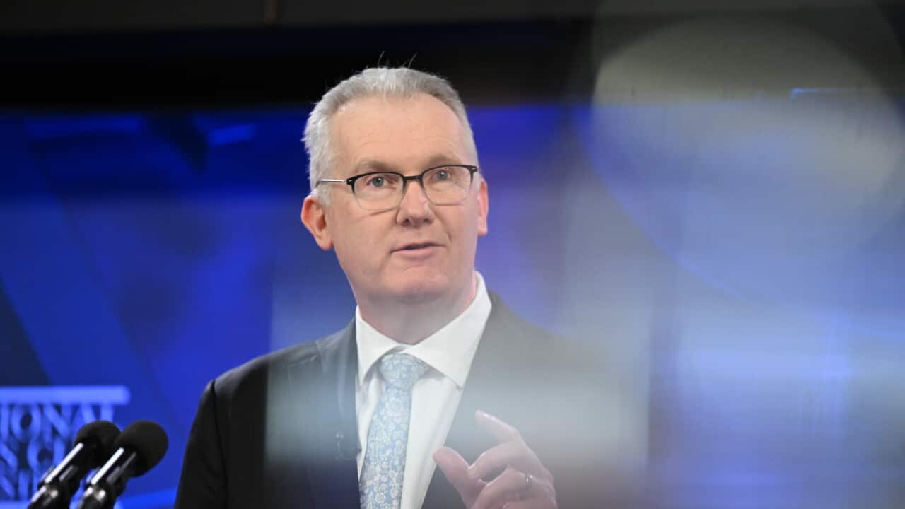 Australian Minister for Immigration and Citizenship Tony Burke addresses the National Press Club in Canberra,