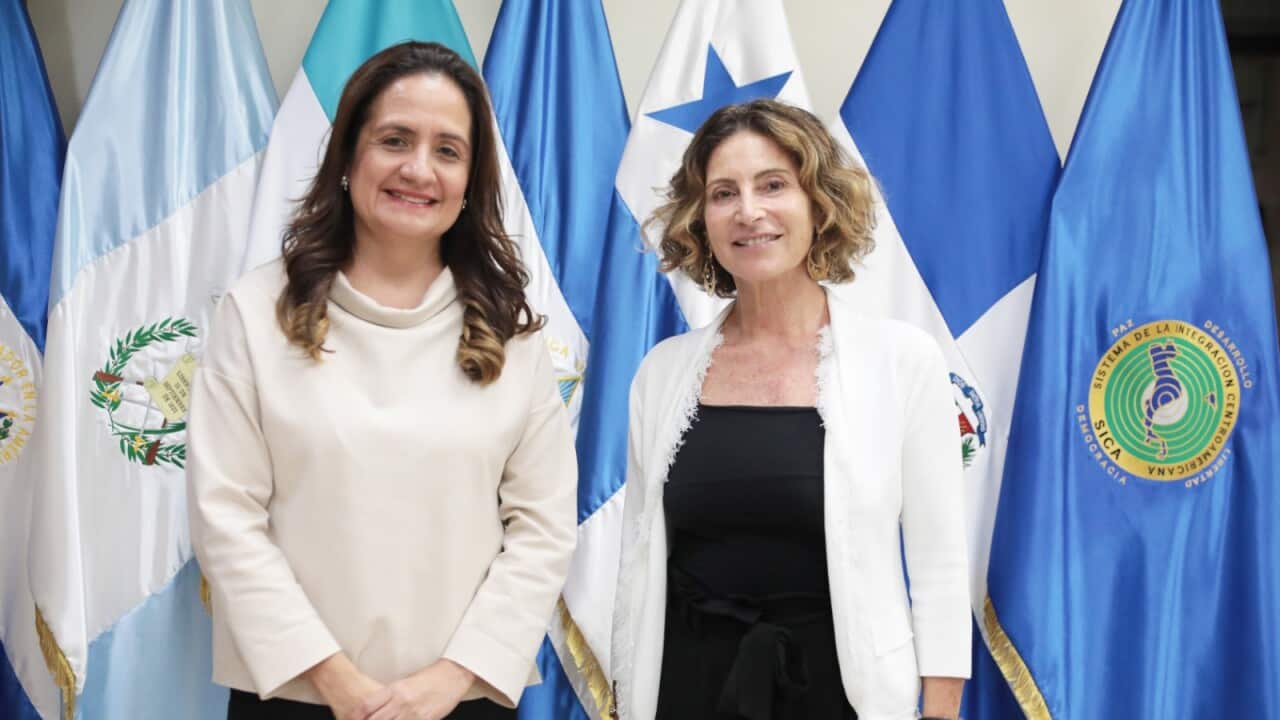 Foto Antonella Cavallari .jpeg