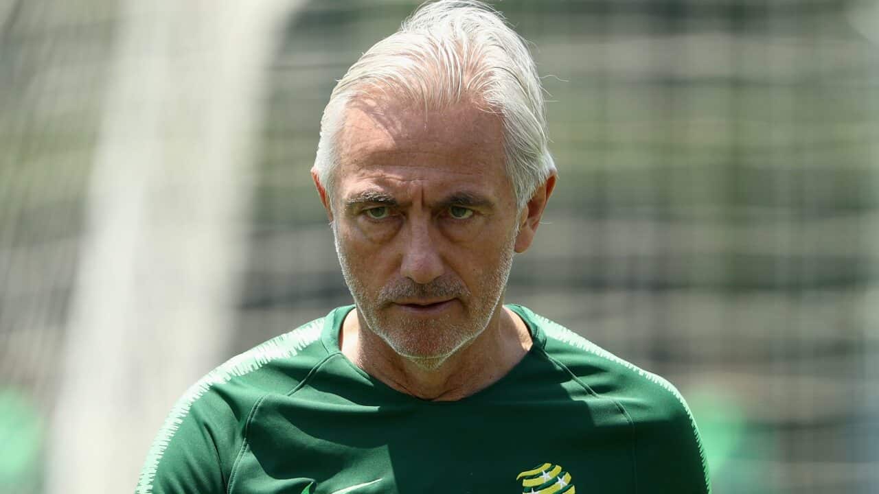 Bert van Marwijk