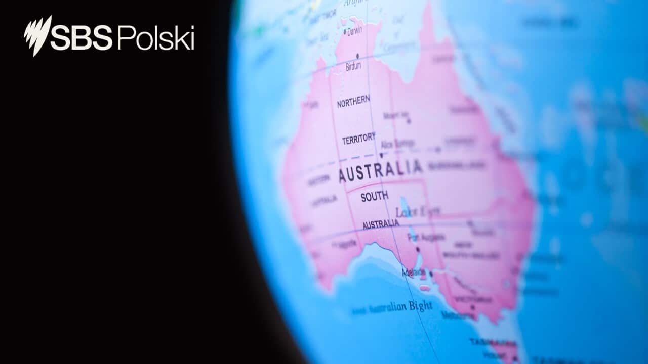 SBS News Flash Polish