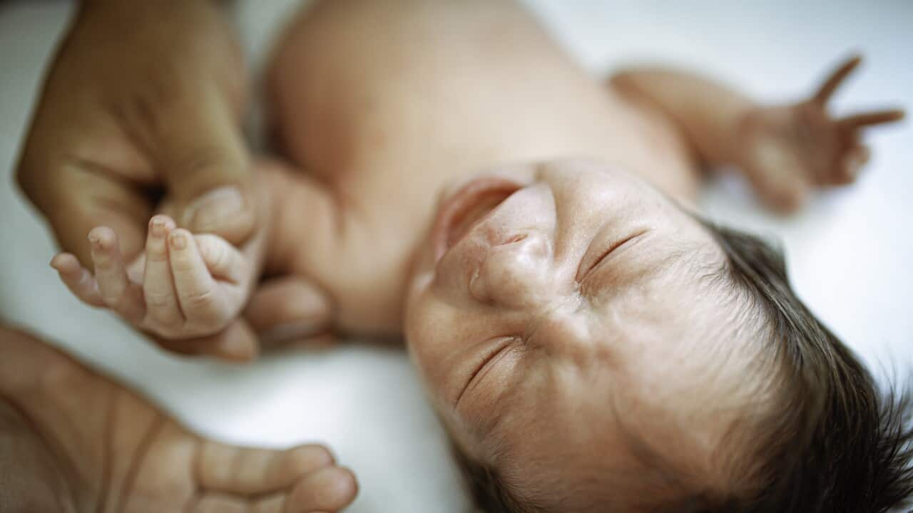 Image for read more article 'Veja ainda'