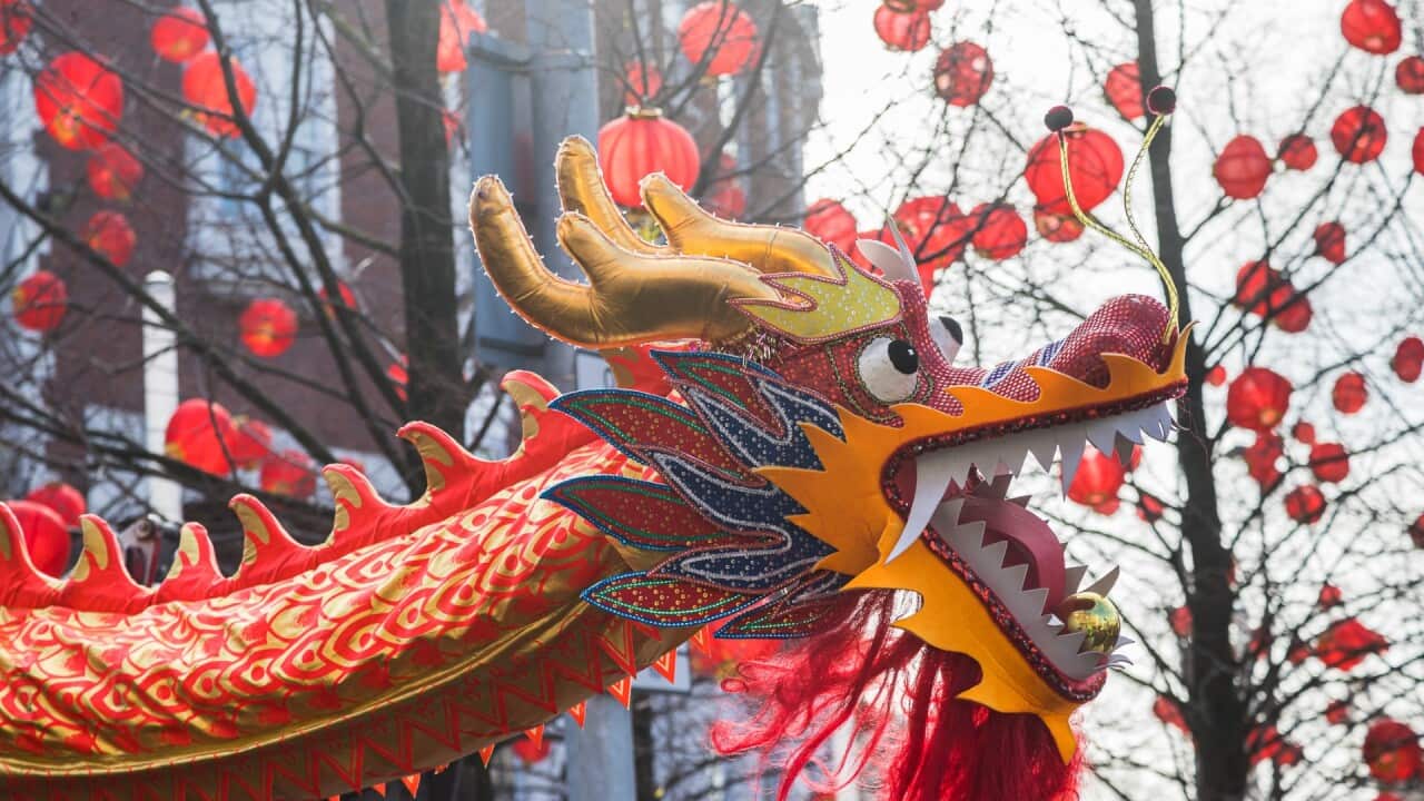 Image for read more article 'READ MORE'