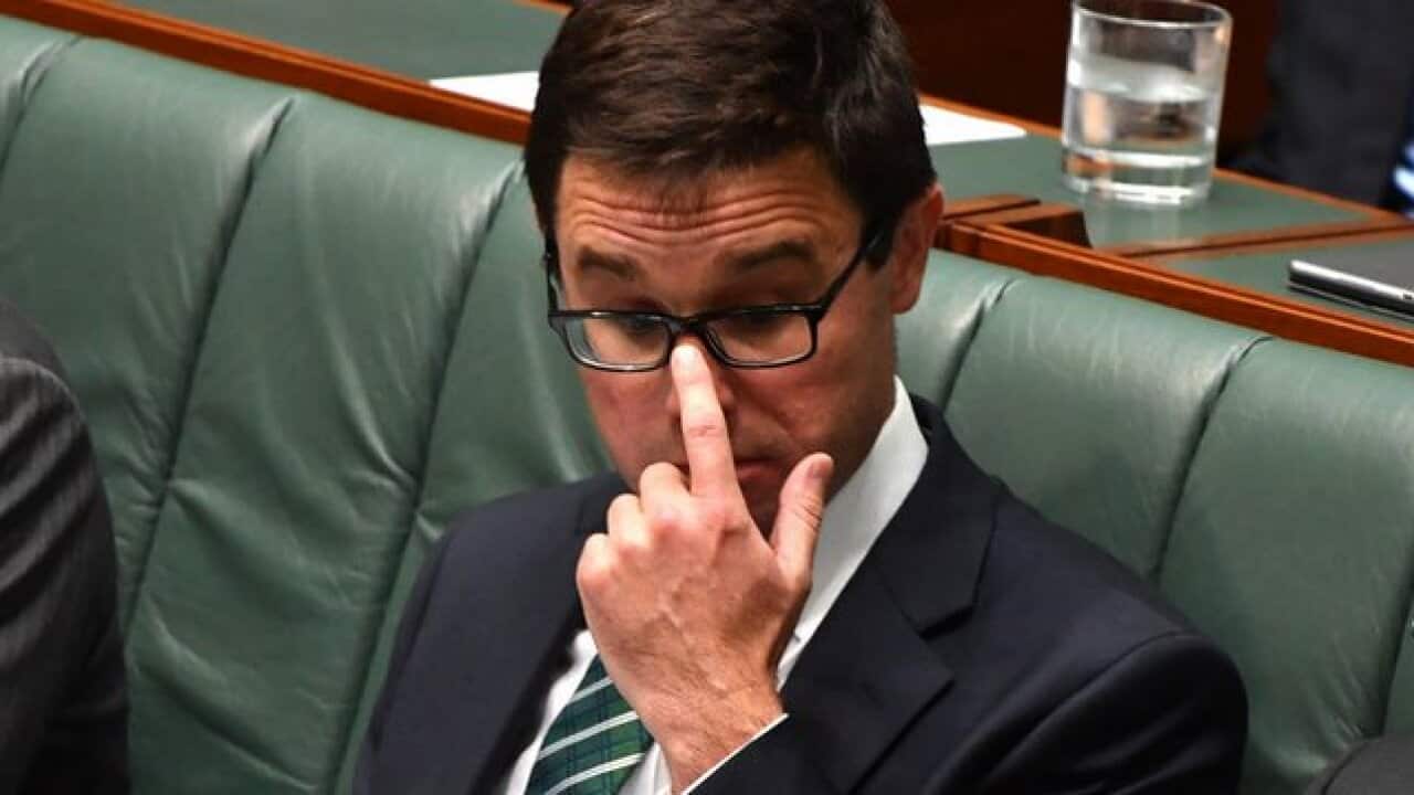 Minister for Agriculture David Littleproud (AAP)