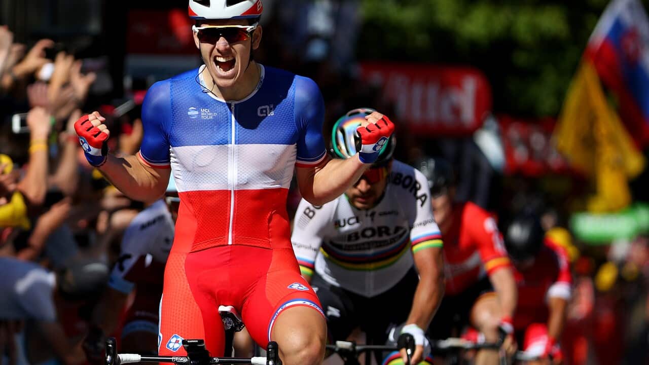 Arnaud Demare wins stage 4 of the 2017 Tour de France